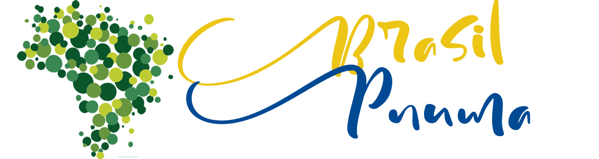 brasil Pnuma logo