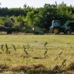 O Brasil é uma potência mundial no agronegócio. O país é o sexto maior produtor de soja, quinto maior produtor de milho e quarto maior produtor de gado.