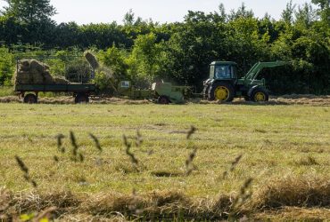 O Brasil é uma potência mundial no agronegócio. O país é o sexto maior produtor de soja, quinto maior produtor de milho e quarto maior produtor de gado.