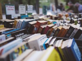 livros para empreendedores