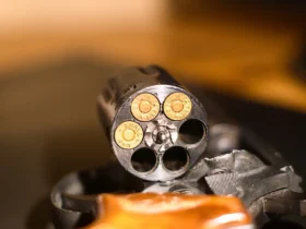 revolver 22